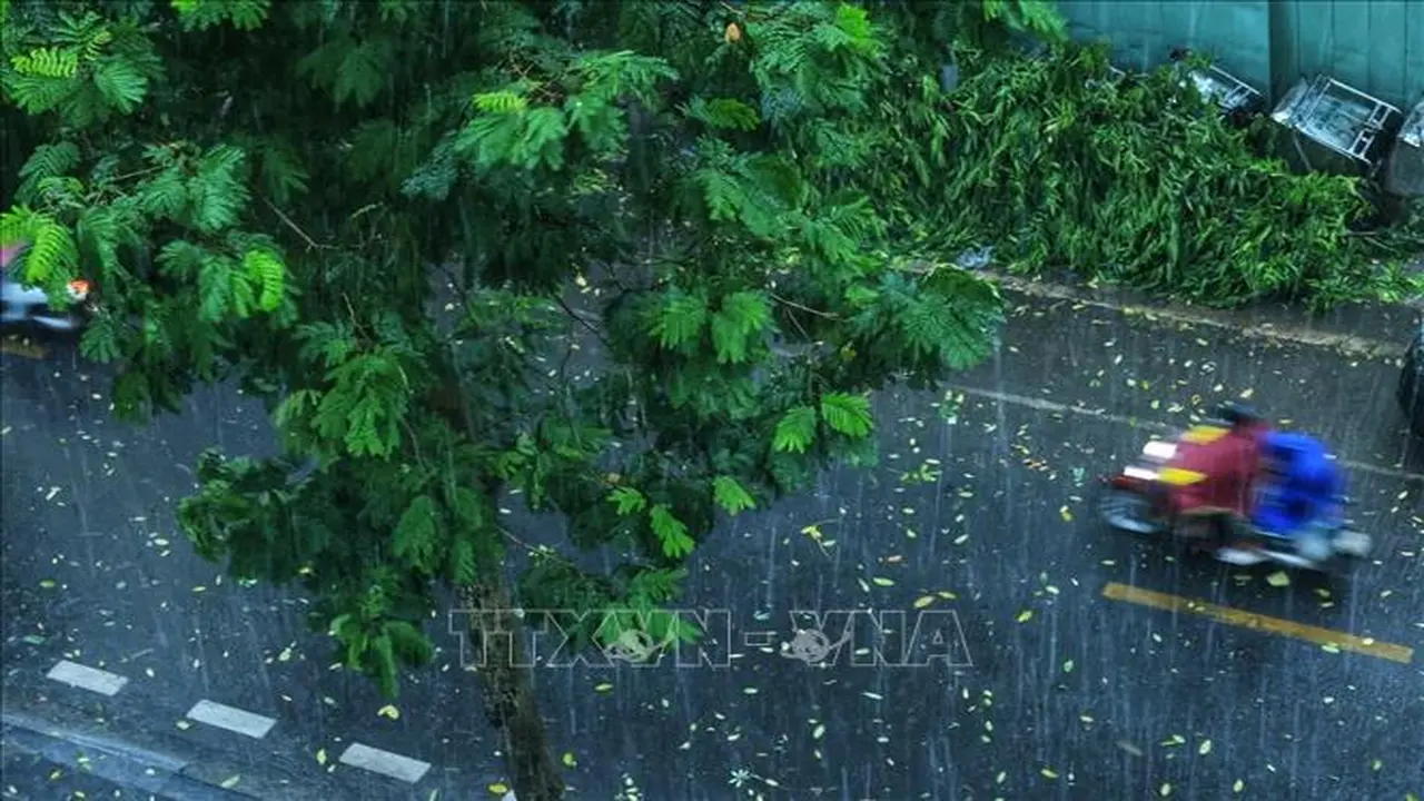 توقعات الأرصاد: عواصف رعدية تضرب الشمال وطقس حار ومشمس في الجنوب